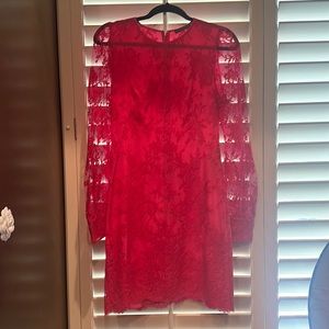 Alexander Mcqueen lace drees. Excellent condition.